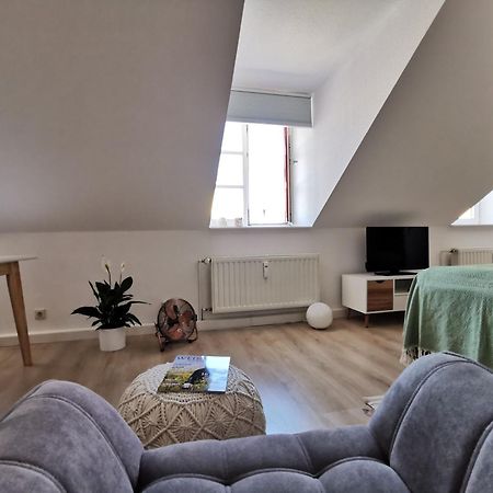 Fynbos Apartments In Der Altstadt, Frauenkirche, Historisch, Parkplatz マイセン エクステリア 写真