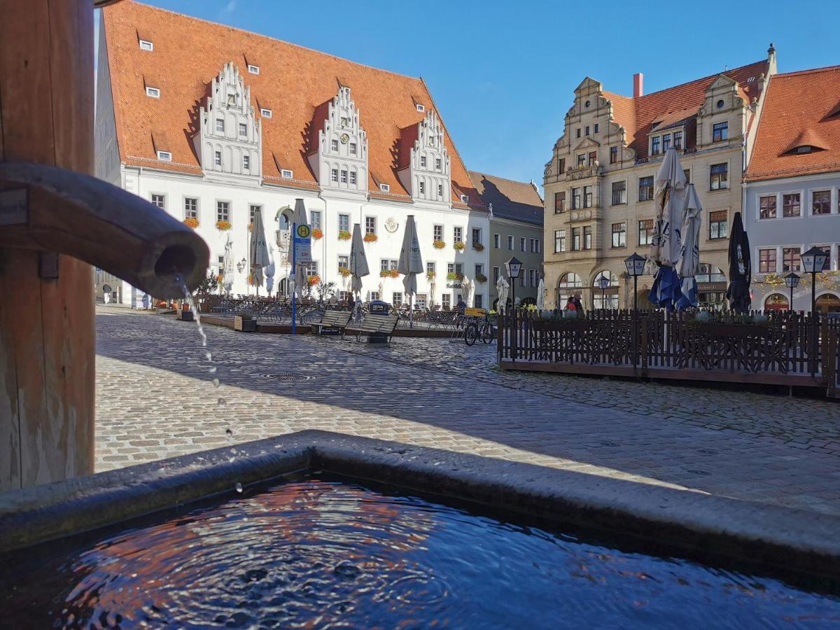 Fynbos Apartments In Der Altstadt, Frauenkirche, Historisch, Parkplatz マイセン エクステリア 写真